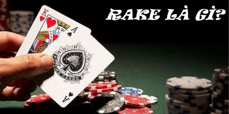 Rake trong poker được nhà cái hiểu là gì?