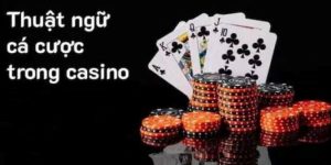 Thuật ngữ cá cược trong casino hiểu đúng để chơi thành thạo