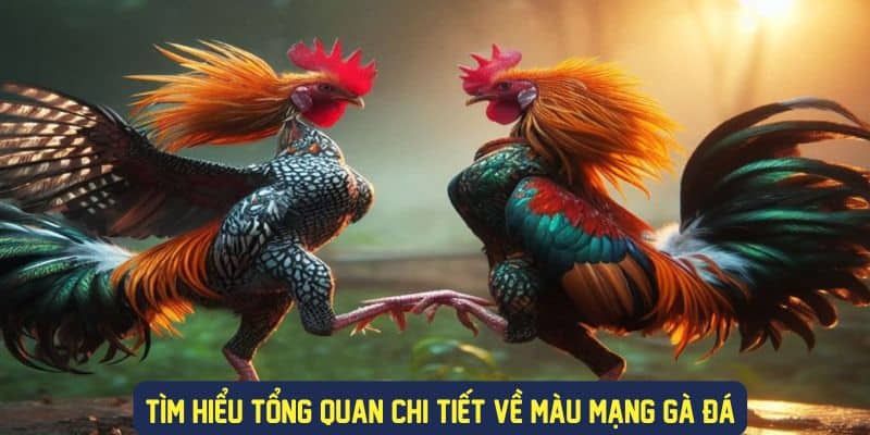 Cách chọn màu gà đá chuẩn